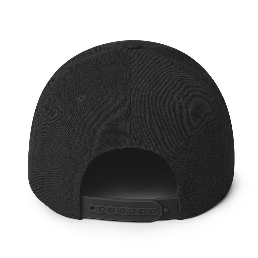 Train at The Barn Snapback