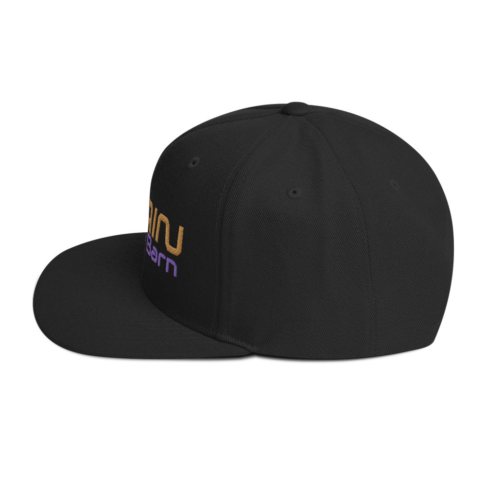 Train at The Barn Snapback