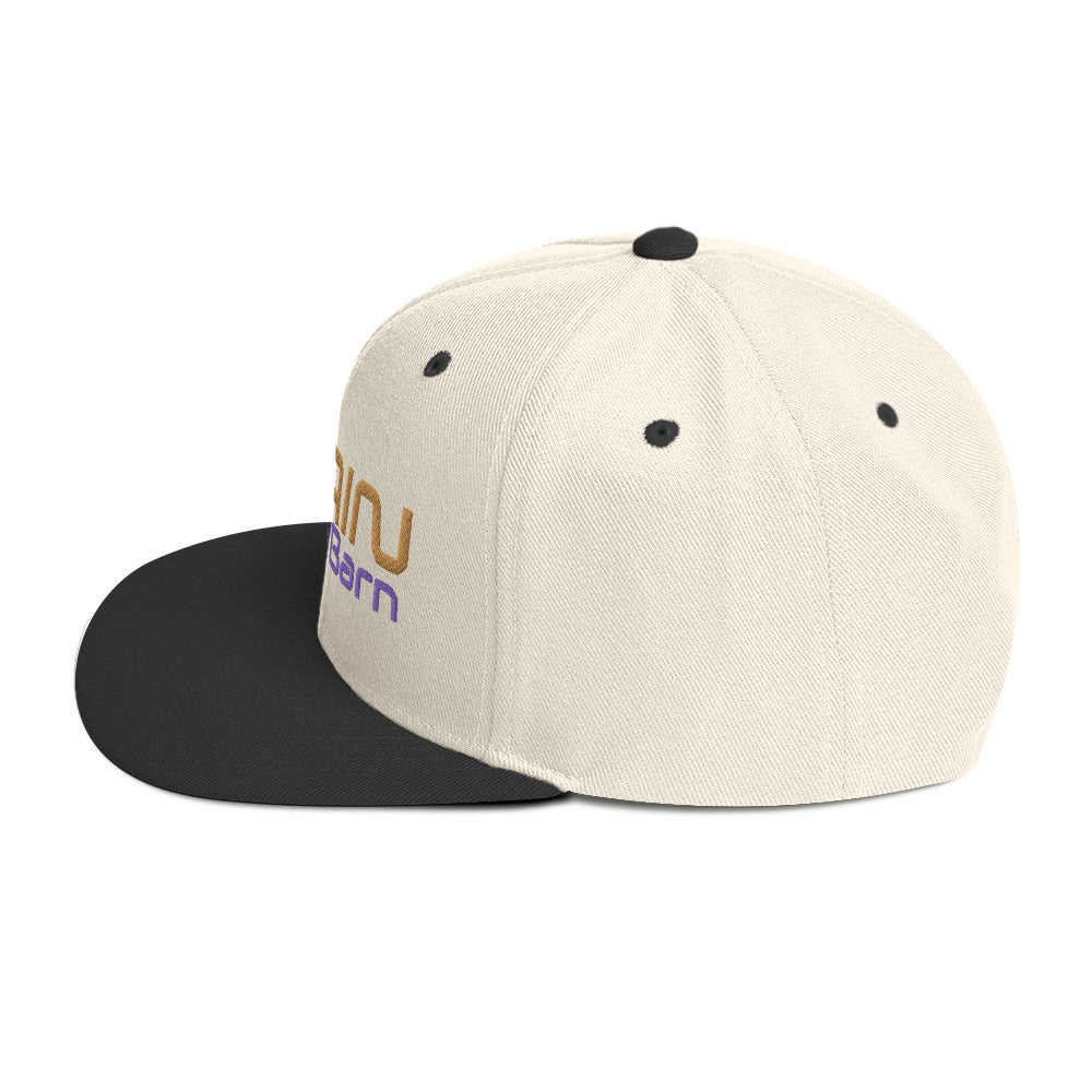 Train at The Barn Snapback