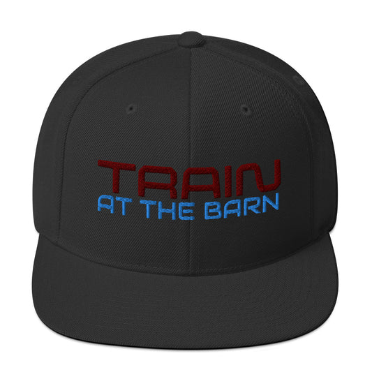 Train at The Barn Snapback